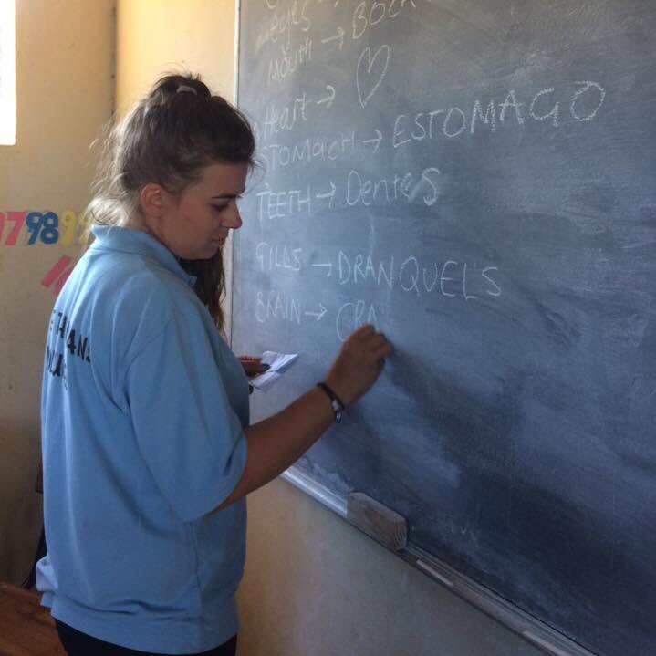 planktonocean's profile picture. Marine biologist. Conservationist. Dreamer. Ocean defender. #alwayslookdeeperthanthesurface 🦈