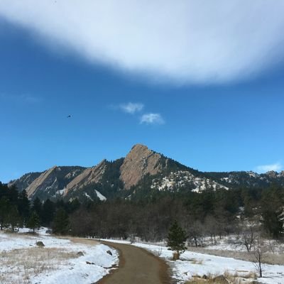 neeti_gupta's profile picture. 