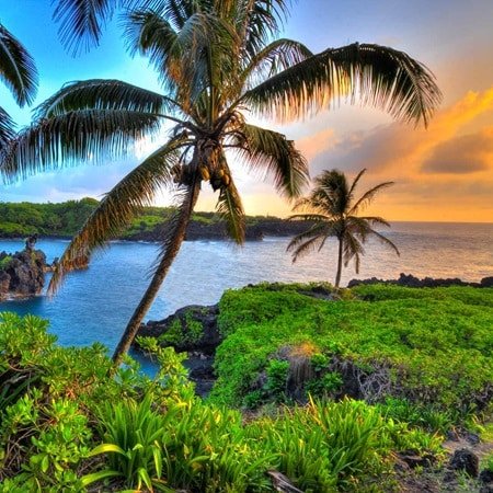 yourtypicaljm's profile picture. 