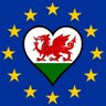 Jorekai's profile picture. #YesCymru 🏴󠁧󠁢󠁷󠁬󠁳󠁿
#FBPE #IndyWales #FBIW #Lesbian
💙 Wilding my garden 💙
🏴󠁧󠁢󠁷󠁬󠁳󠁿Welsh, English & always European 🇪🇺