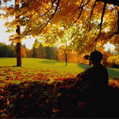 liuyl8568's profile picture. 新聞