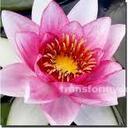 Gemma Costello - @gemgem43 - Twitter