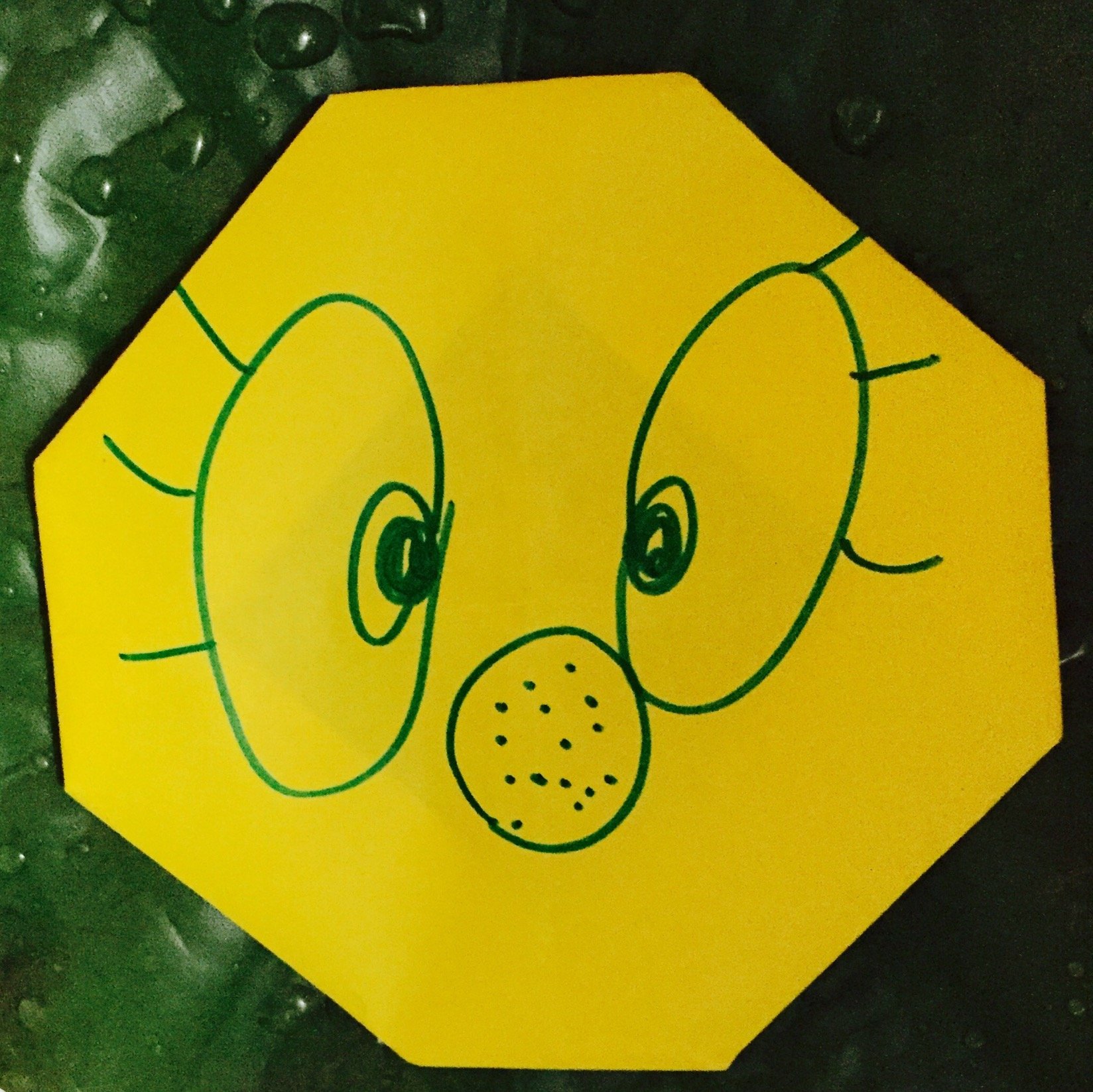 toracha7's profile picture. 