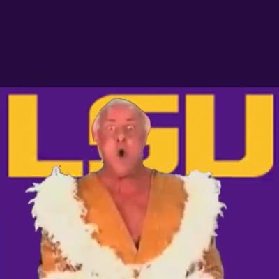 Geaux Tigers!!!