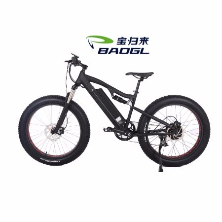 Zhejiang Baoguilai Vehicle Co.,Ltd. specialize in produce E-bike for 18 years .
Address: No.1-2 Leye Road XiguanStreet,Jinhjua,Zhejiang,China