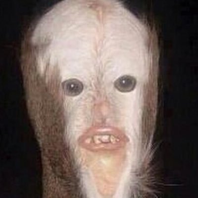 tUiTionPlZ's profile picture. Check out my YouTube channel https://t.co/vP68wS0M0t   .... I’m going to be doing gameplays and reviews