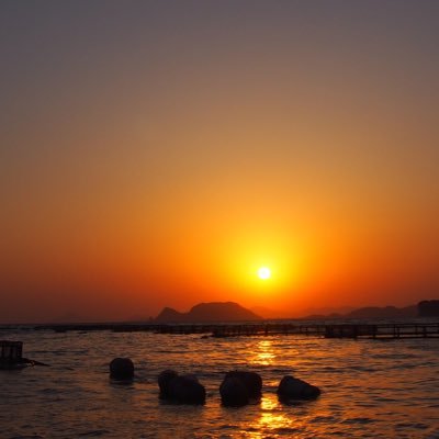 mongoos82985633's profile picture. 