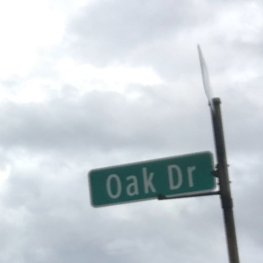 djrsmith1's profile picture. BYU