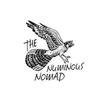 The Numinous Nomad (@_numinousnomad_) 's Twitter Profile