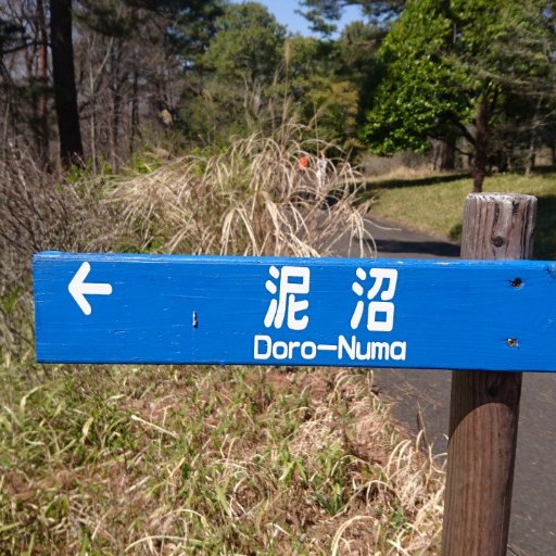 hajinoooi's profile picture. ☆*:.｡. 病と音楽と推し活とアート☆*:.｡🦋⇨ https://t.co/HsDbSOuo62