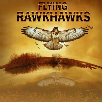 Flying RawkHawks #Band 🎸 #lgBtq @MikeManges 🎙#YouTube  #Rock #Metal #EMO #Edm #Rave 🎧  #Punk🤘 #Pop #Dance #RawkHawks $2.99 on #ITunes  https://t.co/VaQEIVEMBg