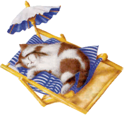 susikat's profile picture. Mother, grandmother &amp; wife