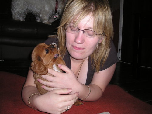 practicing social worker, and enjoying life with my 3 cavalier King Charles Spaniels and my collie cross girlie's x