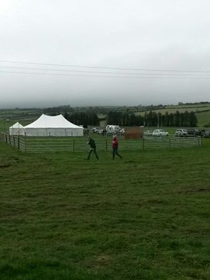 Official Aghabullogue Point to Point account. Save the date 12th January 2025