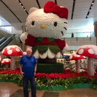 Tim Pressman (@ringsthecaddy) 's Twitter Profile