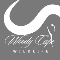 Woody Cape Wildlife (@woodycapewild) 's Twitter Profile