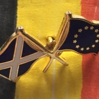 Sarah English (@sarahenglishbxl) 's Twitter Profile Photo