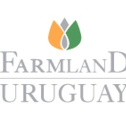 We help international investors with land sourcing and agricultural asset management in Uruguay.
