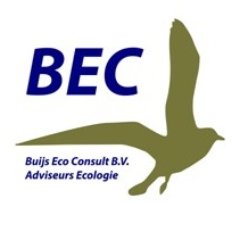 BuijsEcoConsult's profile picture. Buijs Eco Consult is een onafhankelijk adviesbureau dat zich richt op advies en onderzoek binnen de vakgebieden ecologie, milieu en duurzaamheid.