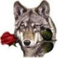 José Miguel (@lromer2016) 's Twitter Profile Photo José Miguel (@lromer2016) 's Twitter Profile Photo