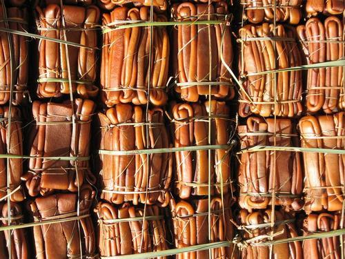 contatocontato's profile picture. 