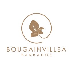 Bougainvillea Barbados