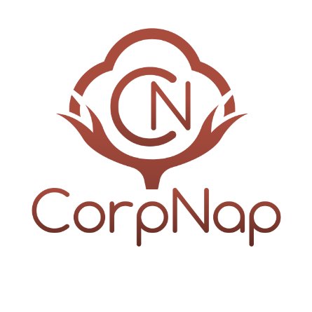 Leading the cutting-edge #Wellbeing movement #InTheWorkplace, with the potential & power of NAPS to #boost & #recharge teams.
#Naps = #AnotherDay !