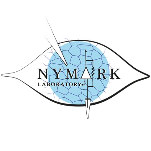 nymarklab Profile Picture