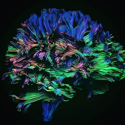 Neuropostdoc Profile