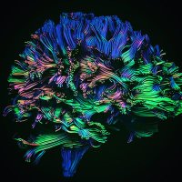 Neuropostdoc (@neuro_postdoc) 's Twitter Profile