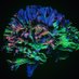 Neuropostdoc (@neuro_postdoc) Twitter profile photo Neuropostdoc (@neuro_postdoc) Twitter profile photo