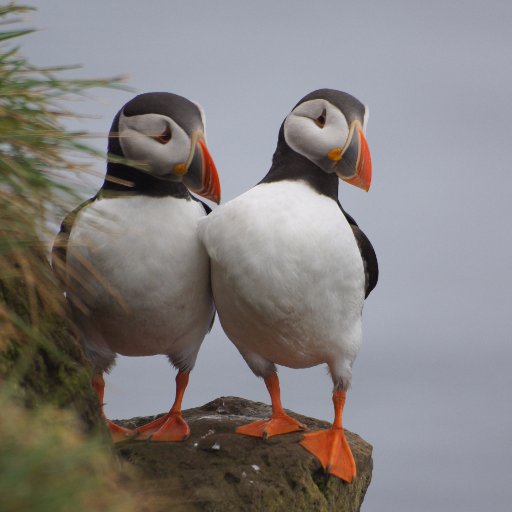 Keurque_Amette's profile picture. 