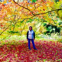 Marissa Irasga (@isangirasga) 's Twitter Profile