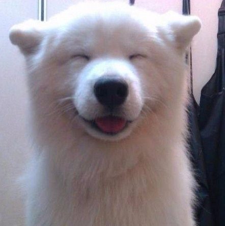 JaMsDr57's profile picture. ,#MAGA #trump #backtheblue #bluelivesmatter..proud father of a cop...back up acc🇺🇸🇺🇸