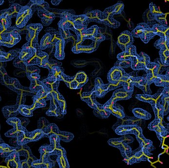 Structural Biology Laboratory in Pavia @UniPV @DBB_UniPV, Italy, studying molecular recognition using #structuralbiology (#crystallography and #cryoEM)