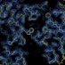 Fornerislab (@fornerislab) Twitter profile photo Fornerislab (@fornerislab) Twitter profile photo