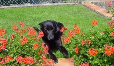 jopo2607's profile picture. 