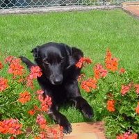 Jopo (@jopo2607) 's Twitter Profile