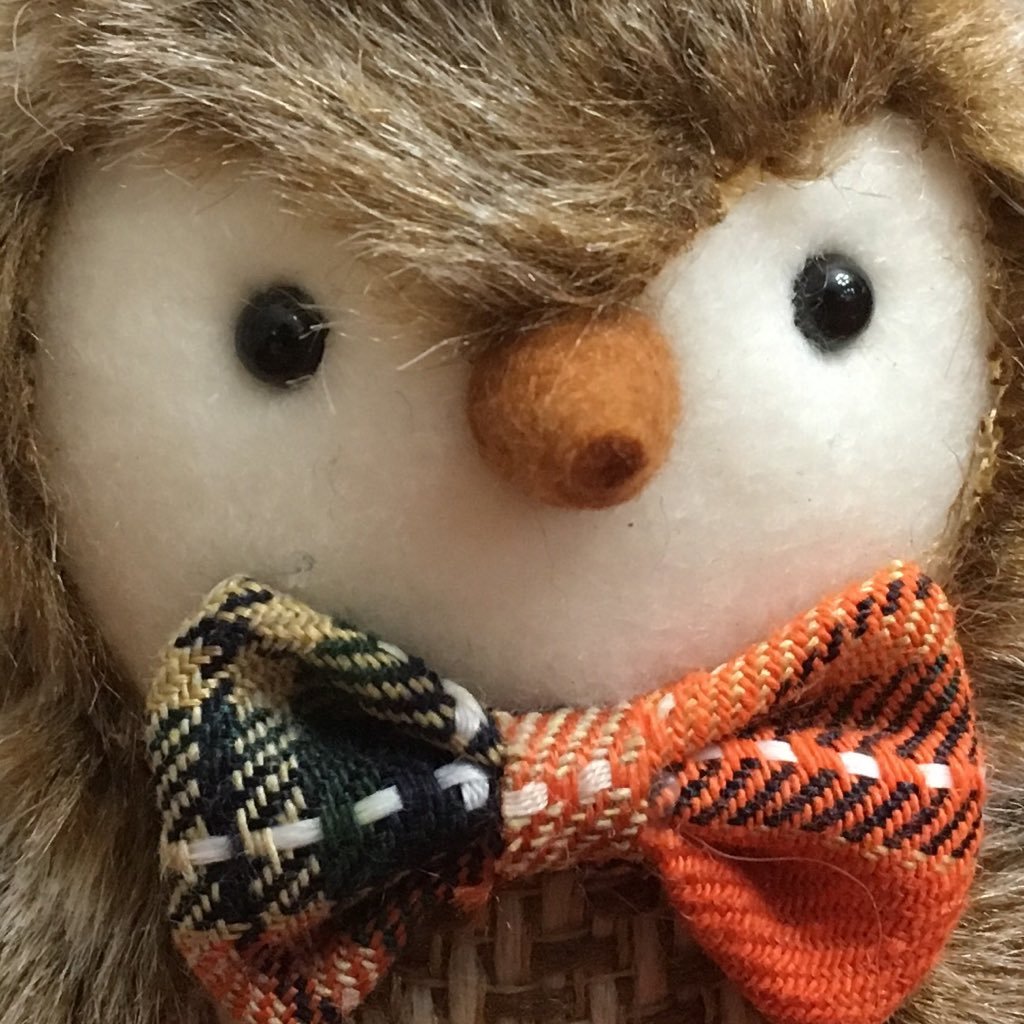 JamisonCreeper's profile picture. Attempting to write many things.