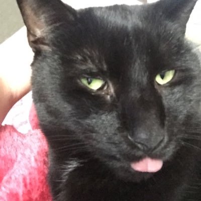 dpylant1's profile picture. Wife, Mom and Bama fan!