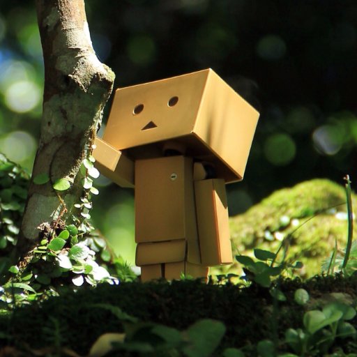 ForestScarecrow's profile picture.