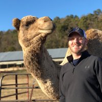 Chris Bacchus (@cbacchus81) 's Twitter Profile Photo Chris Bacchus (@cbacchus81) 's Twitter Profile Photo
