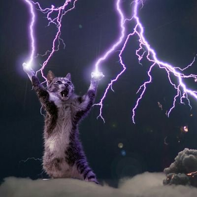 harrizsb's profile picture.