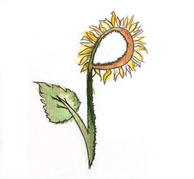 Vegan and vegetarian group based in Peterborough, UK. We meet once a month for food shares and special events throughout the year.