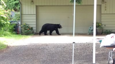 rcasper_012's profile picture. Family, friends, fun... and coaching.