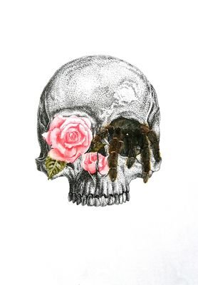 I am a freelance artist specialising in pen and watercolour illustration. My work is inspired by natural forms, and is sold on Redbubble, Society6 and Storenvy.
