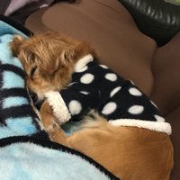 65点のそうり (@326_kazuma) Twitter profile photo