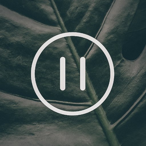 Pausester's profile picture. Electronic music maker / Dj / contact; info@plexusrecords.co.uk