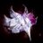 ika8764fv's profile image