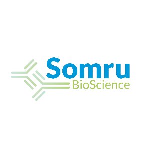 Somru BioScience Inc. is an innovative
biotechnology company developing solutions that help our clients bring life-saving biotherapeutics to the market sooner.